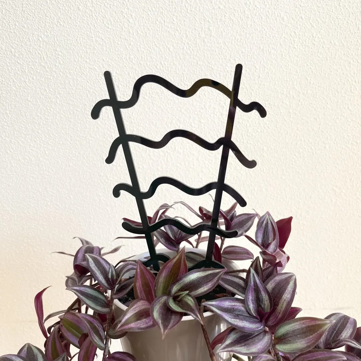 wavy-houseplant-stake-trellis-black