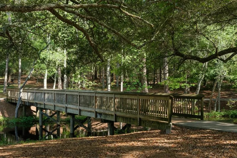 Scenic-Wooden-Bridge-in-Columbia-Park